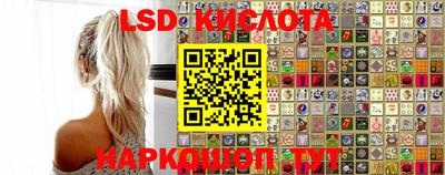 ПСИЛОЦИБИНОВЫЕ ГРИБЫ Дмитров