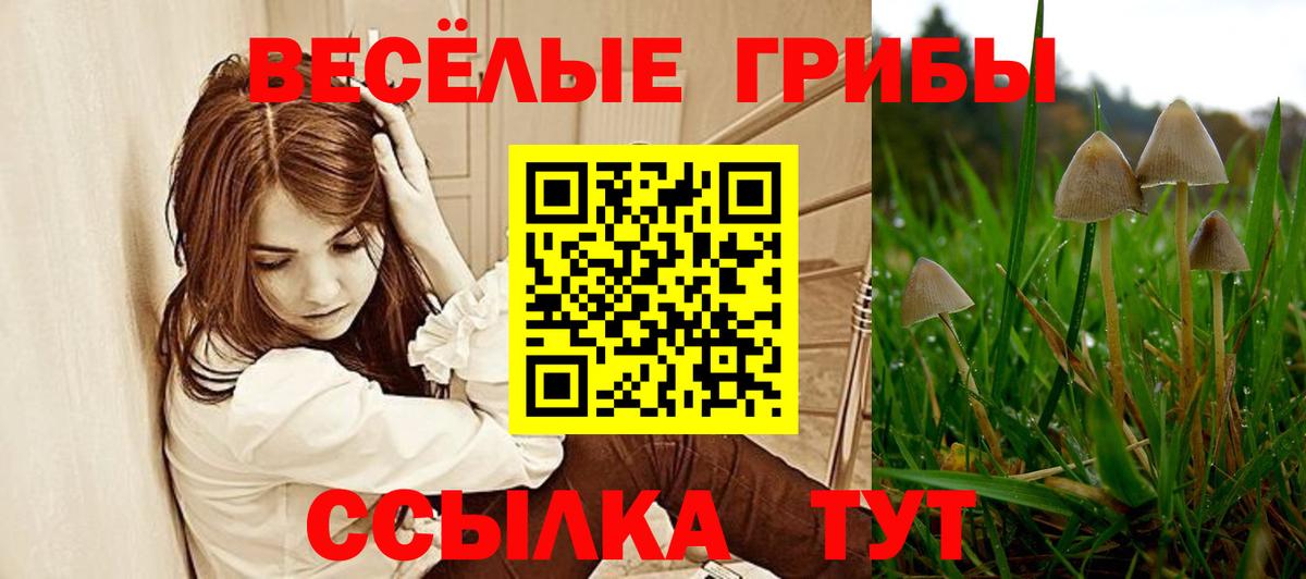 Псилоцибиновые грибы GOLDEN TEACHER  Вход с VPN  Белебей 